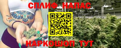 jwh Будённовск