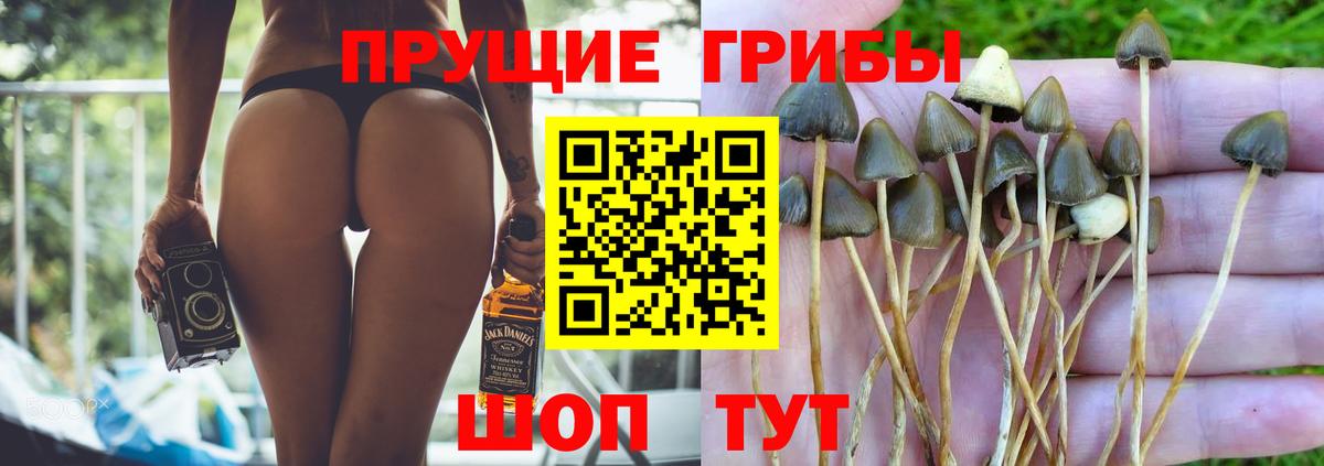 Псилоцибиновые грибы прущие грибы Нягань